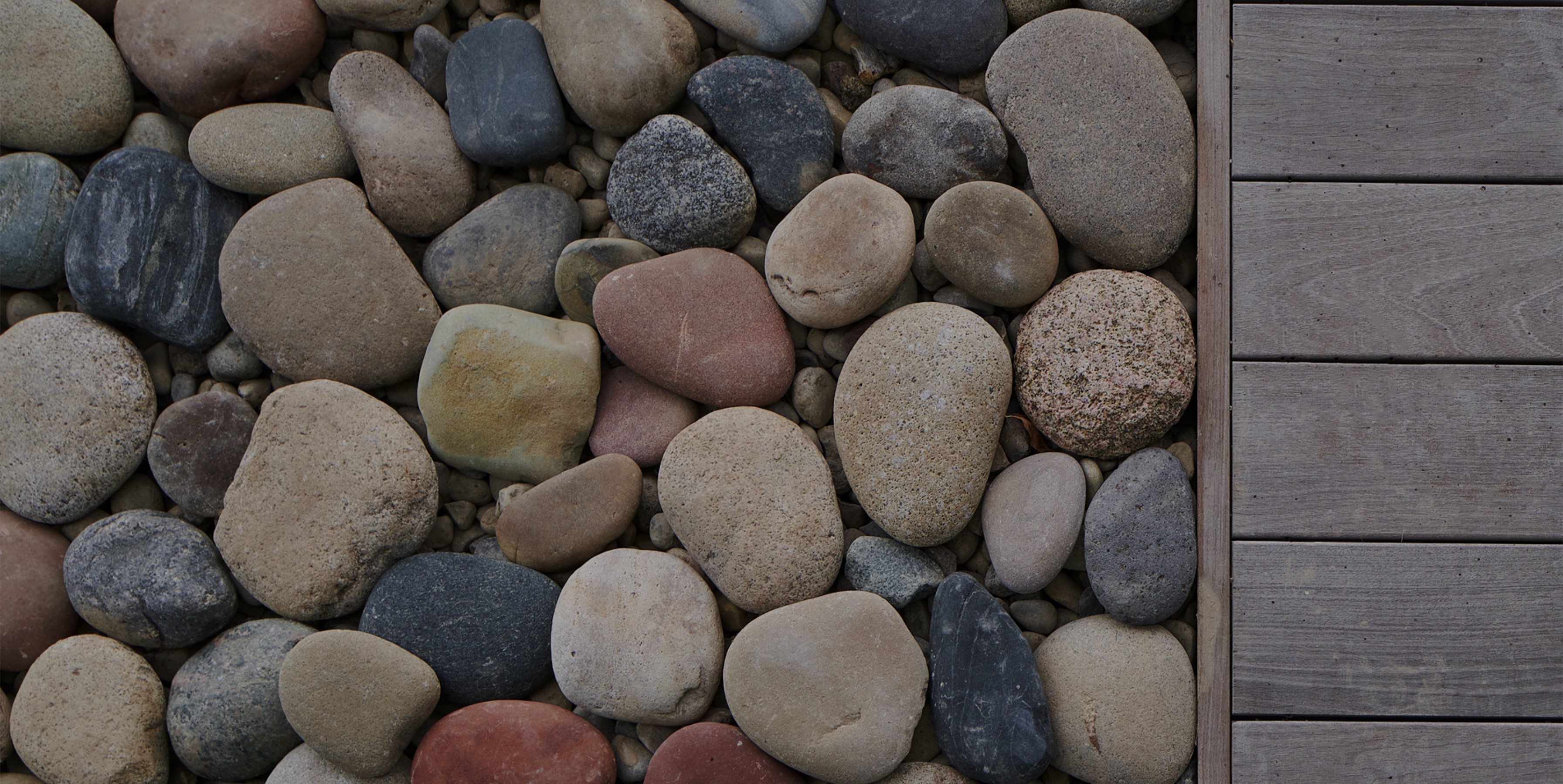 By turning over rocks and suspending assumptions, together we start a dialogue. From dialogue emerges a way of doing. A way of being. A way forward.
