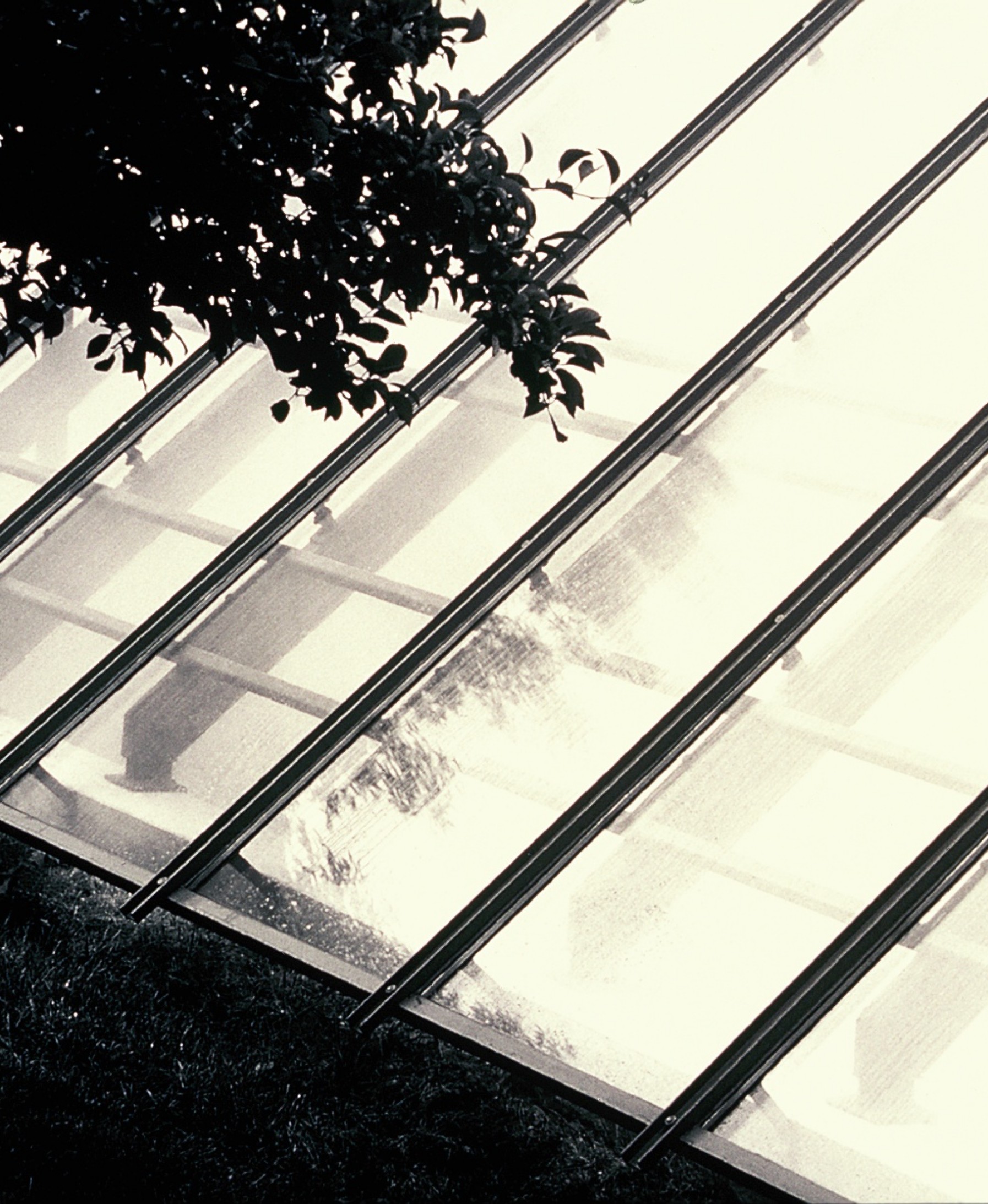 Lazor Greenhouse Glass Roof