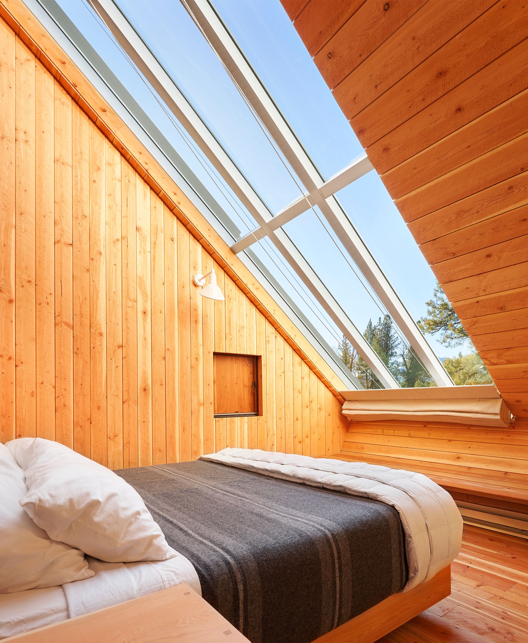 Silhouette House skylight