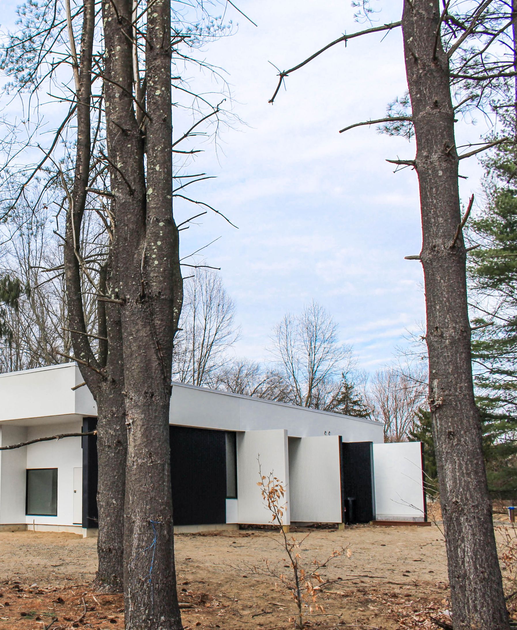 Stretch House Long Parallel Exterior Walls