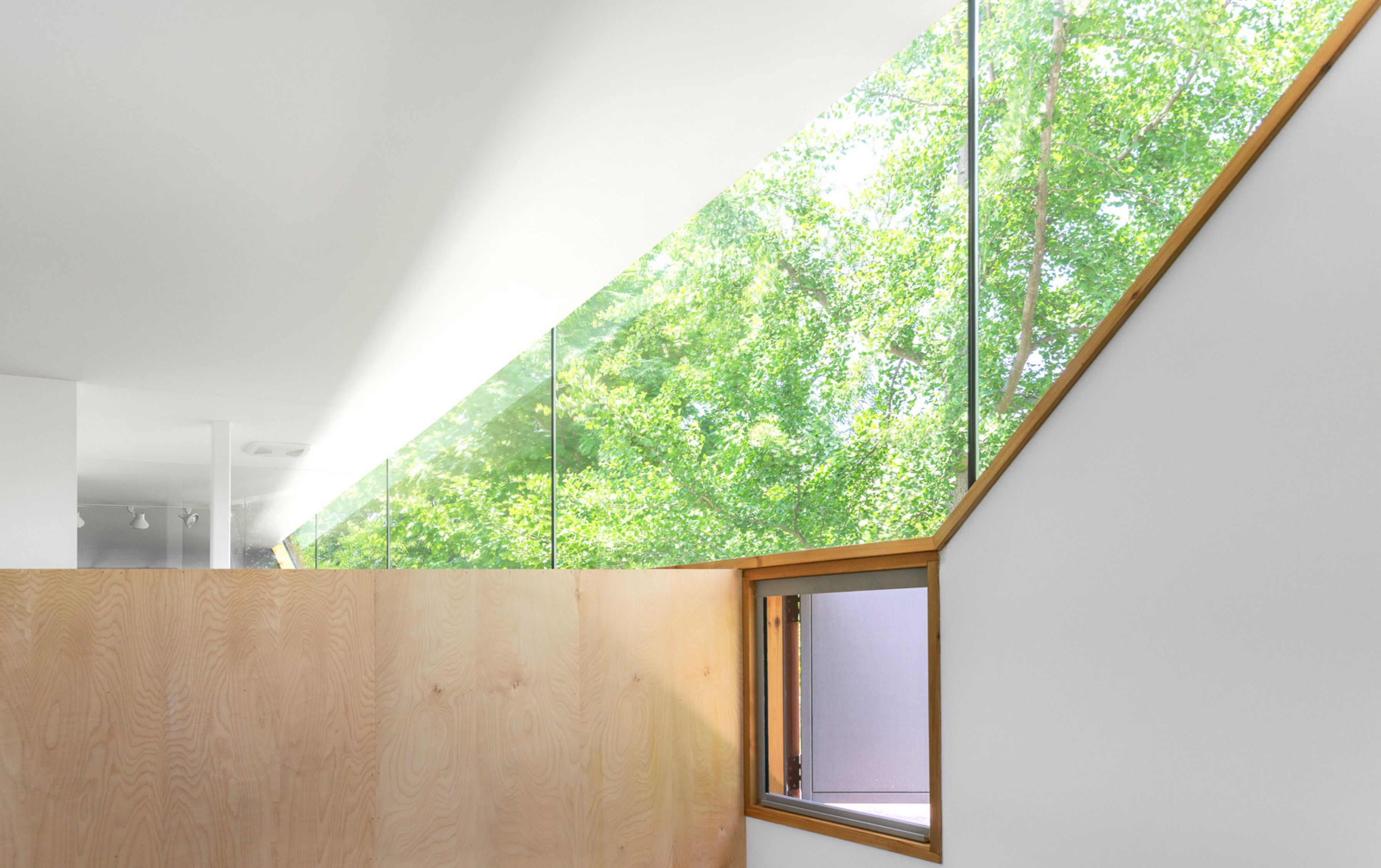 Thumb House Wall Gallery 2